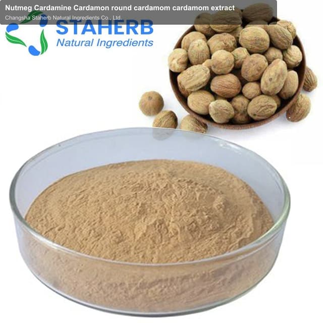 Nutmeg Cardamine Cardamon round cardamom cardamom extract