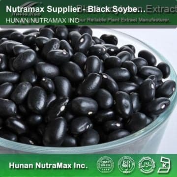 Nutramax Supplier - Black Soybean Extract,Isoflavones 20% 40%