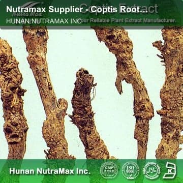 Nutramax Supplier - Coptis Root Extract PowderHPLC 10%-98%(Berberine Hydrochloride)