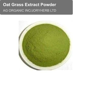 Oat Grass Extract Powder