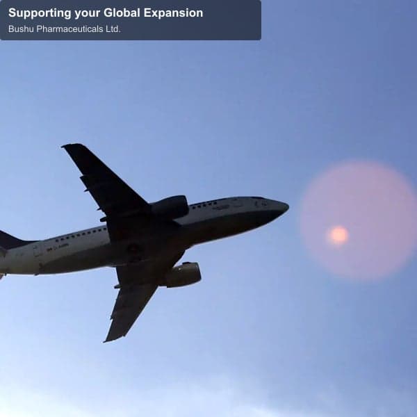 Bushu Pharmaceuticals Ltd. offer service "Supporting your Global Expansion"