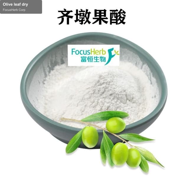 Olive leaf dry