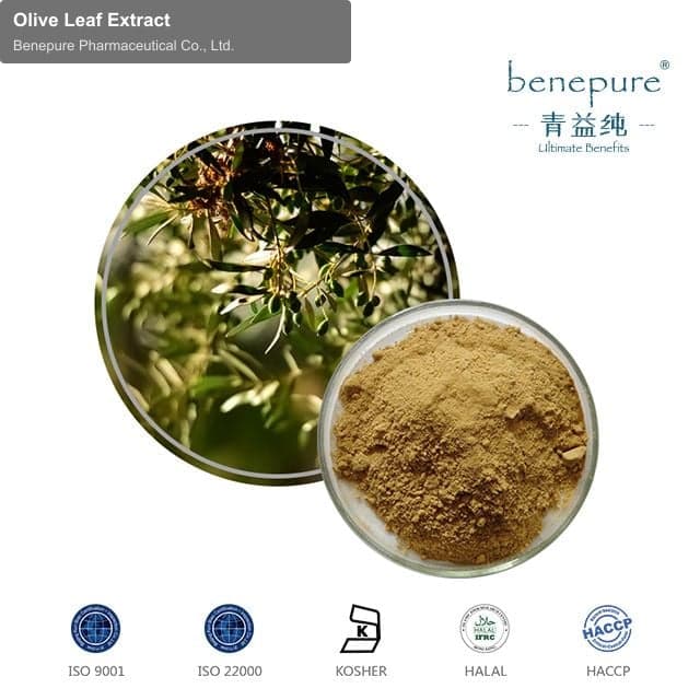 Olive Leaf Extract