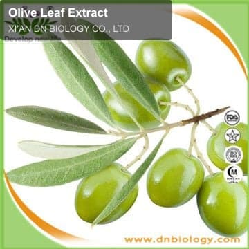 Olive Leaf Extract