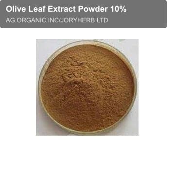 Olive Leaf Extract Powder 10%
