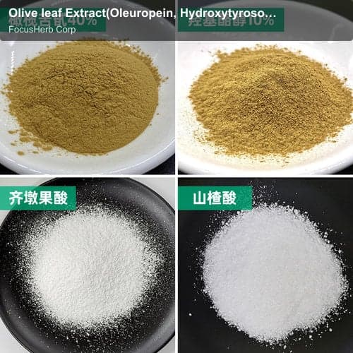 Olive leaf Extract(Oleuropein, Hydroxytyrosol,Maslinic acid, Oleanolic acid)