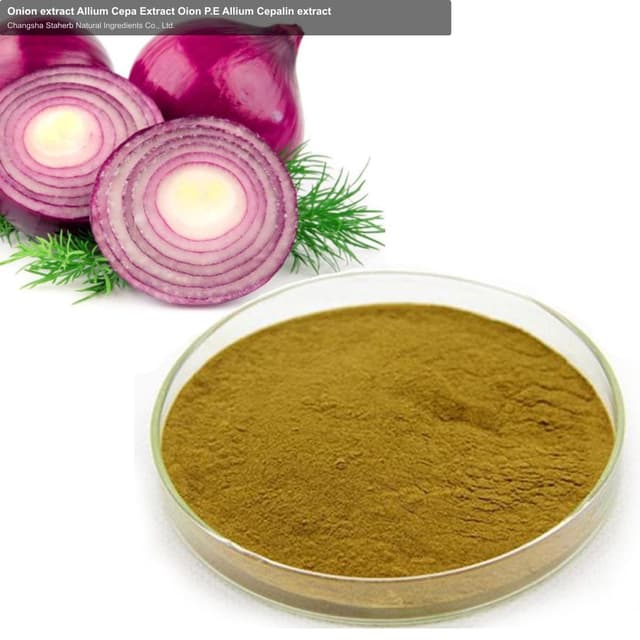 Onion extract Allium Cepa Extract Oion P.E Allium Cepalin extract