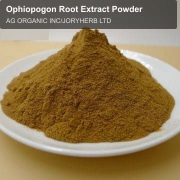 Ophiopogon Root Extract Powder