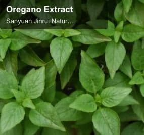 Oregano Extract
