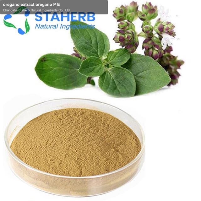 oregano extract oregano P E