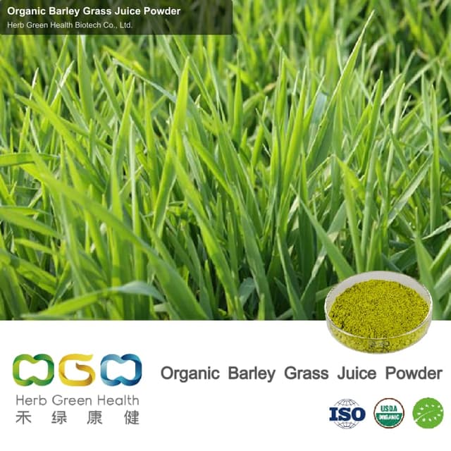 Organic Barley Grass Juice Powder