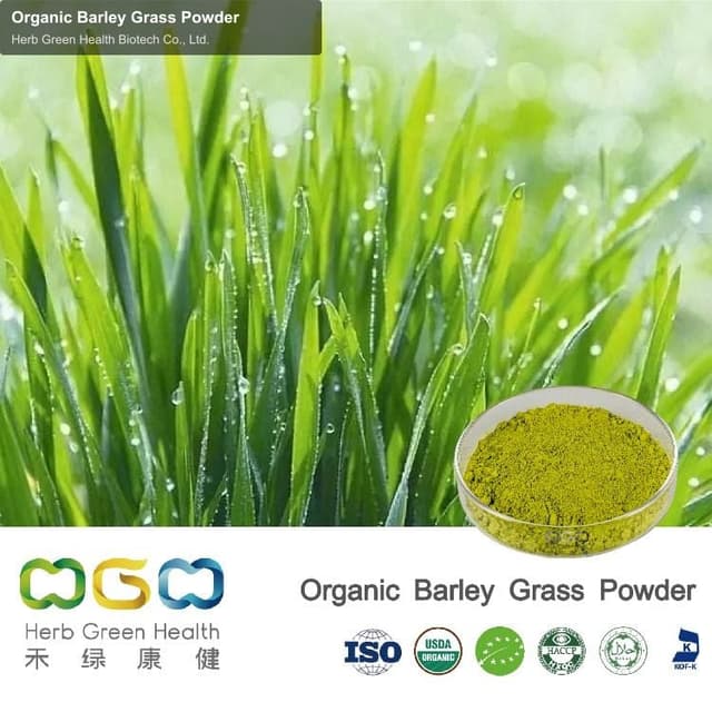 Organic Barley Grass Powder