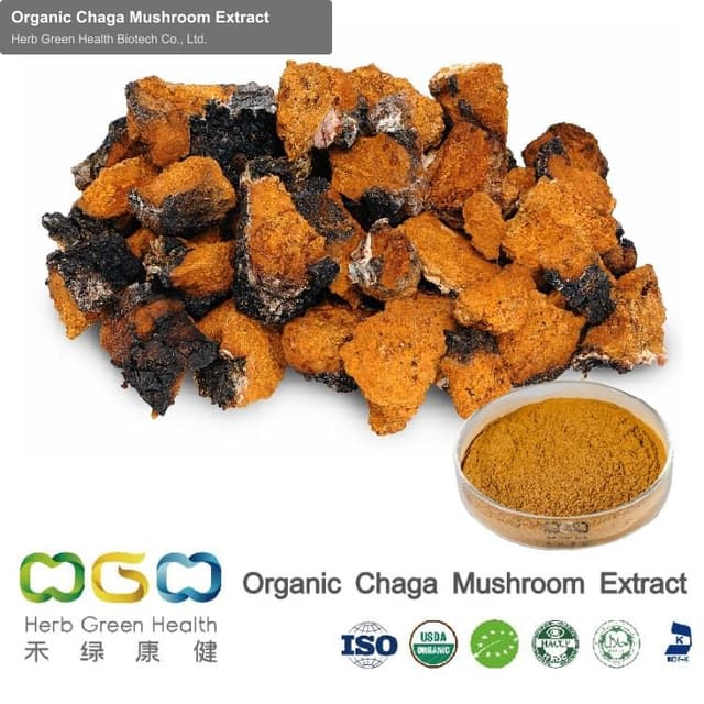 Organic Chaga Mushroom Extract
