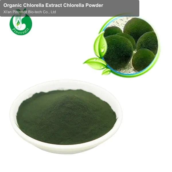 Organic Chlorella Extract Chlorella Powder
