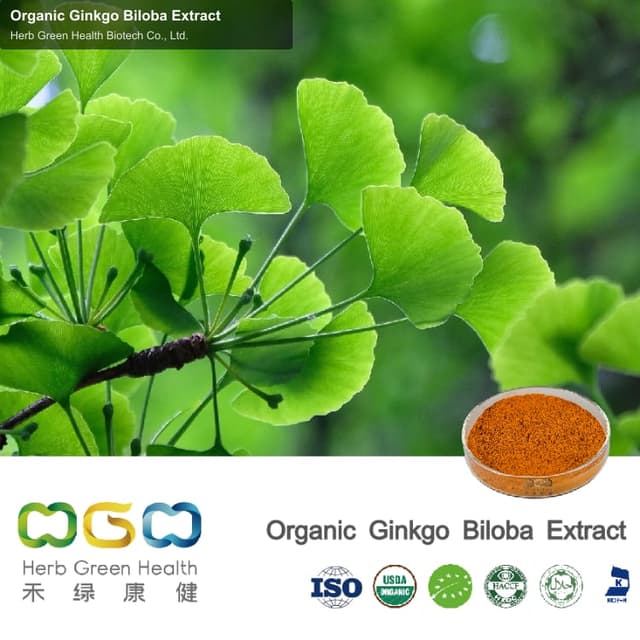 Organic Ginkgo Biloba Extract