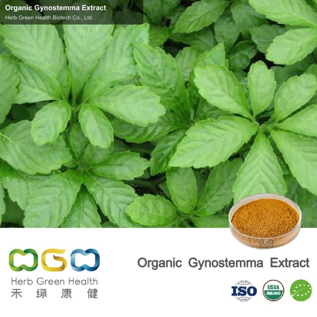Organic Gynostemma Extract