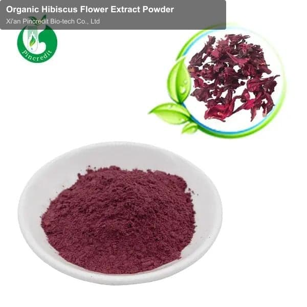 Organic Hibiscus Flower Extract Powder
