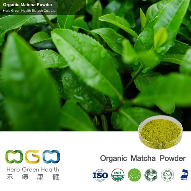 Organic Matcha Powder