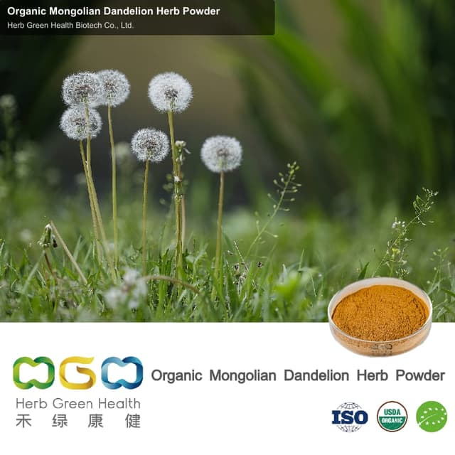 Organic Mongolian Dandelion Herb Powder