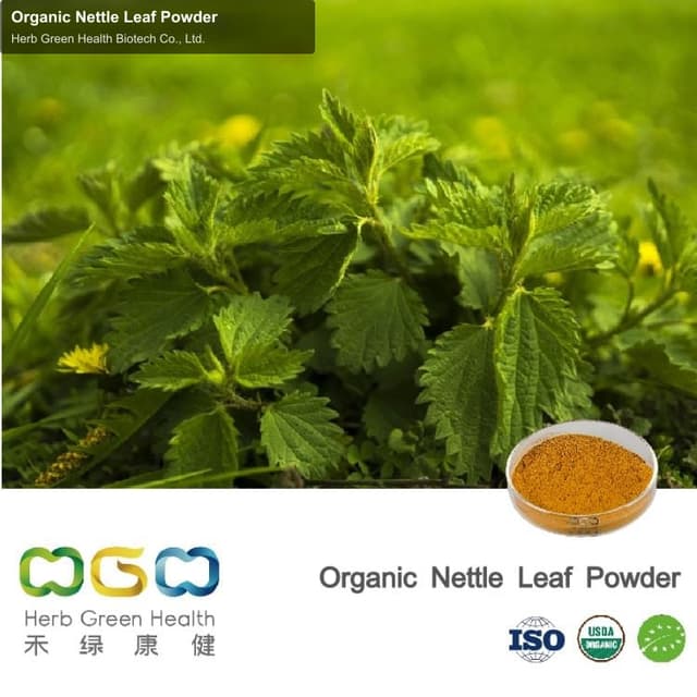 Organic Nettle Leaf Powder