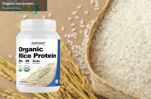 Organic rice protein