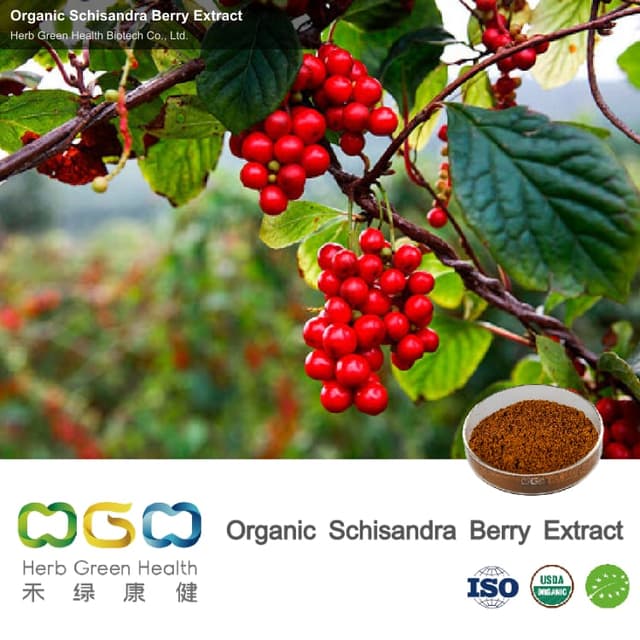 Organic Schisandra Berry Extract