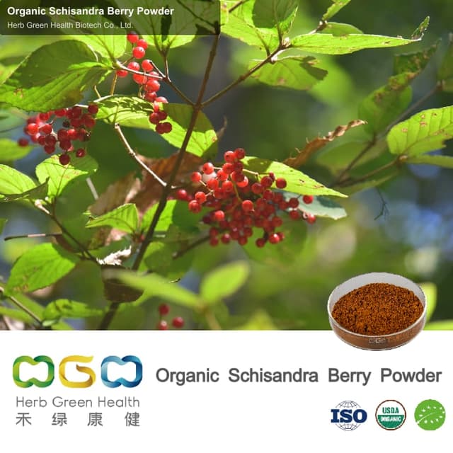 Organic Schisandra Berry Powder