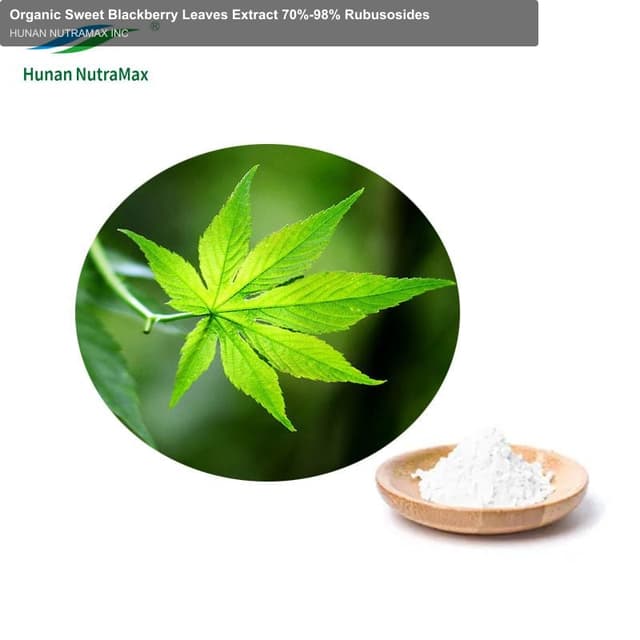 Organic Sweet Blackberry Leaves Extract 70%-98% Rubusosides