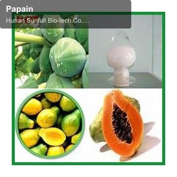 Papain