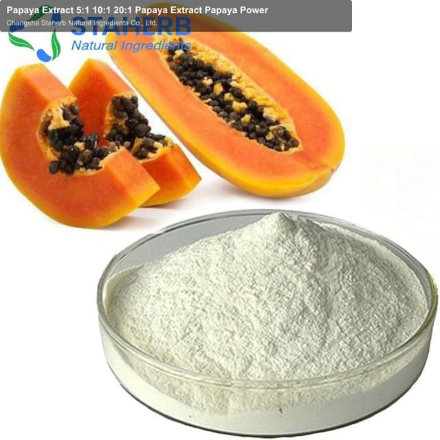Papaya Extract 5:1 10:1 20:1 Papaya Extract Papaya Power