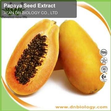 Papaya Seed Extract