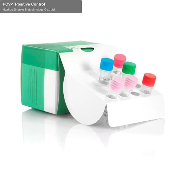 PCV-1 Positive Control