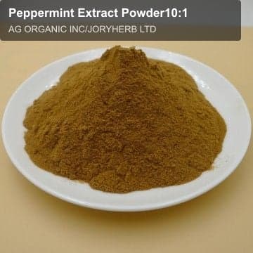 Peppermint Extract Powder10:1