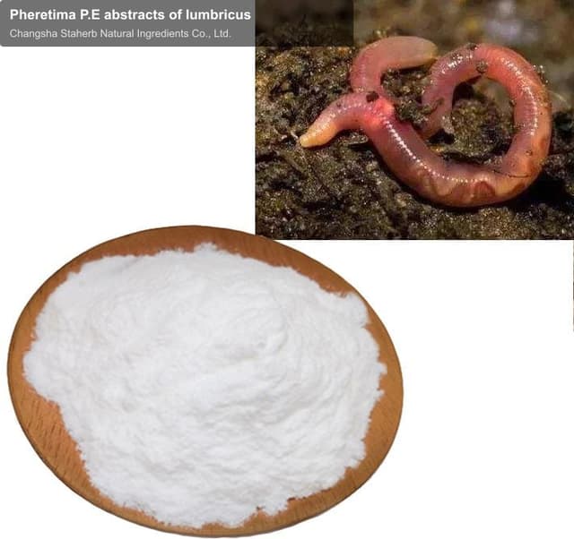 Pheretima P.E abstracts of lumbricus
