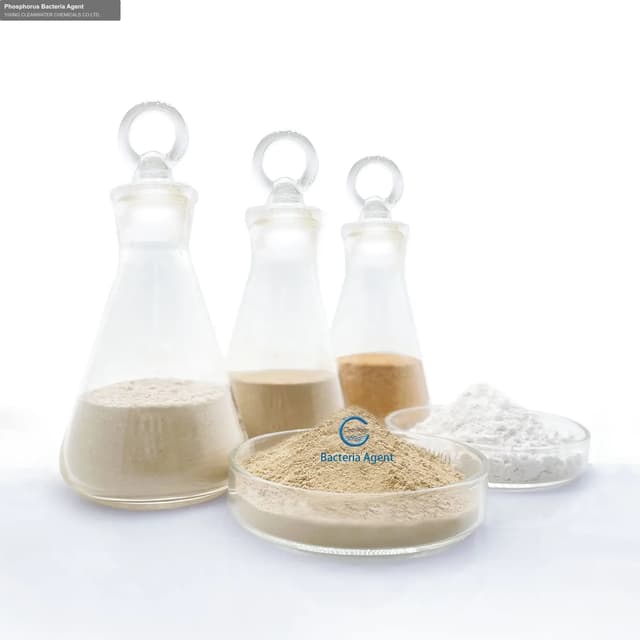 Phosphorus Bacteria Agent