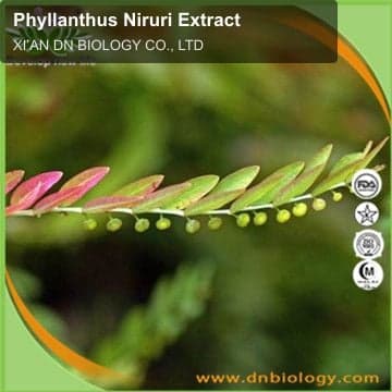 Phyllanthus Niruri Extract