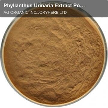 Phyllanthus Urinaria Extract Powder10:1
