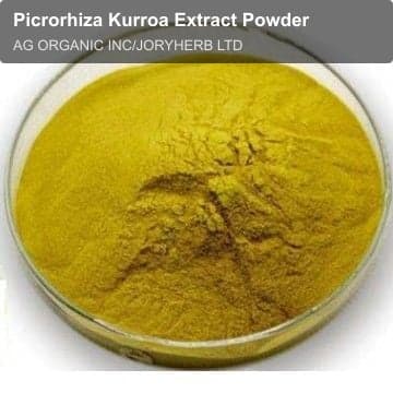 Picrorhiza Kurroa Extract Powder