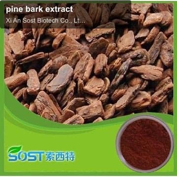 pine bark extract