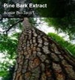 Pine Bark Extract