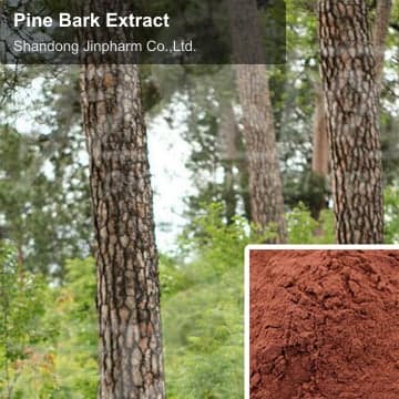 Pine Bark Extract
