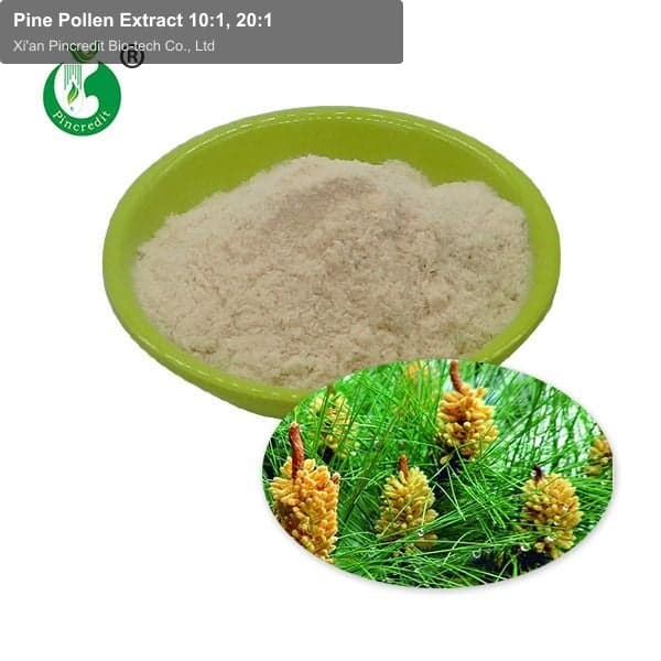 Pine Pollen Extract 10:1, 20:1
