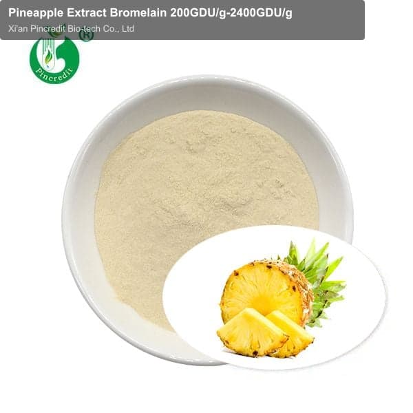 Pineapple Extract Bromelain 200GDU/g-2400GDU/g