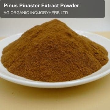 Pinus Pinaster Extract Powder