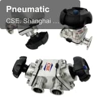 Pneumatic
