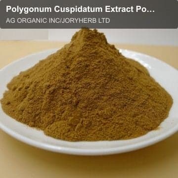 Polygonum Cuspidatum Extract Powder