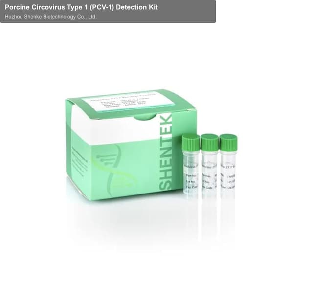 Porcine Circovirus Type 1 (PCV-1) Detection Kit