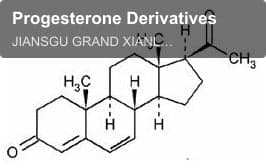 Progesterone Derivatives