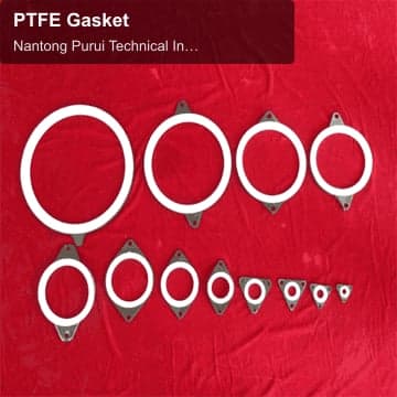 PTFE Gasket