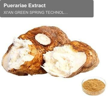 Puerariae Extract